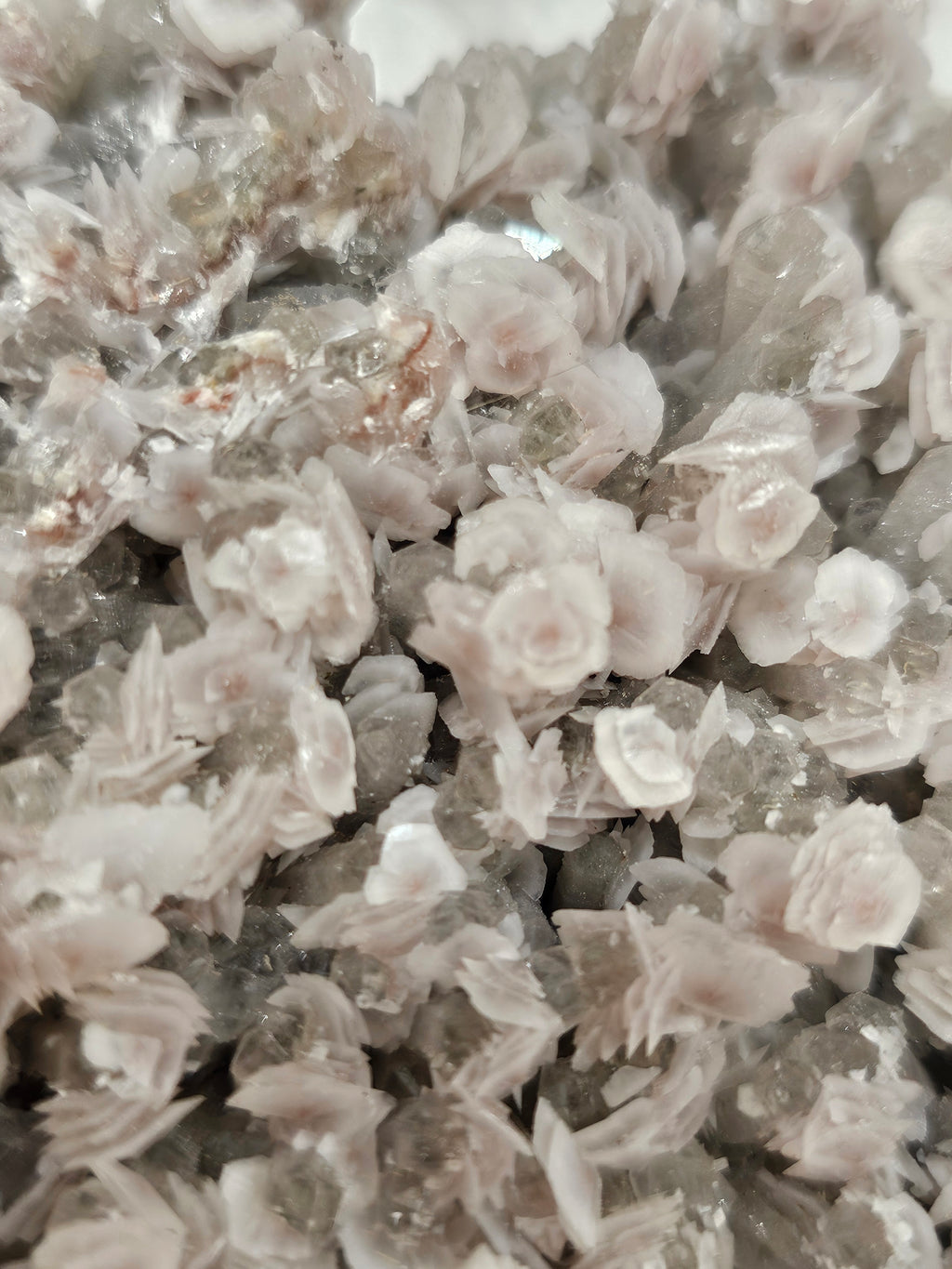 Flower Jungle Calcite Raw Crystal Cluster