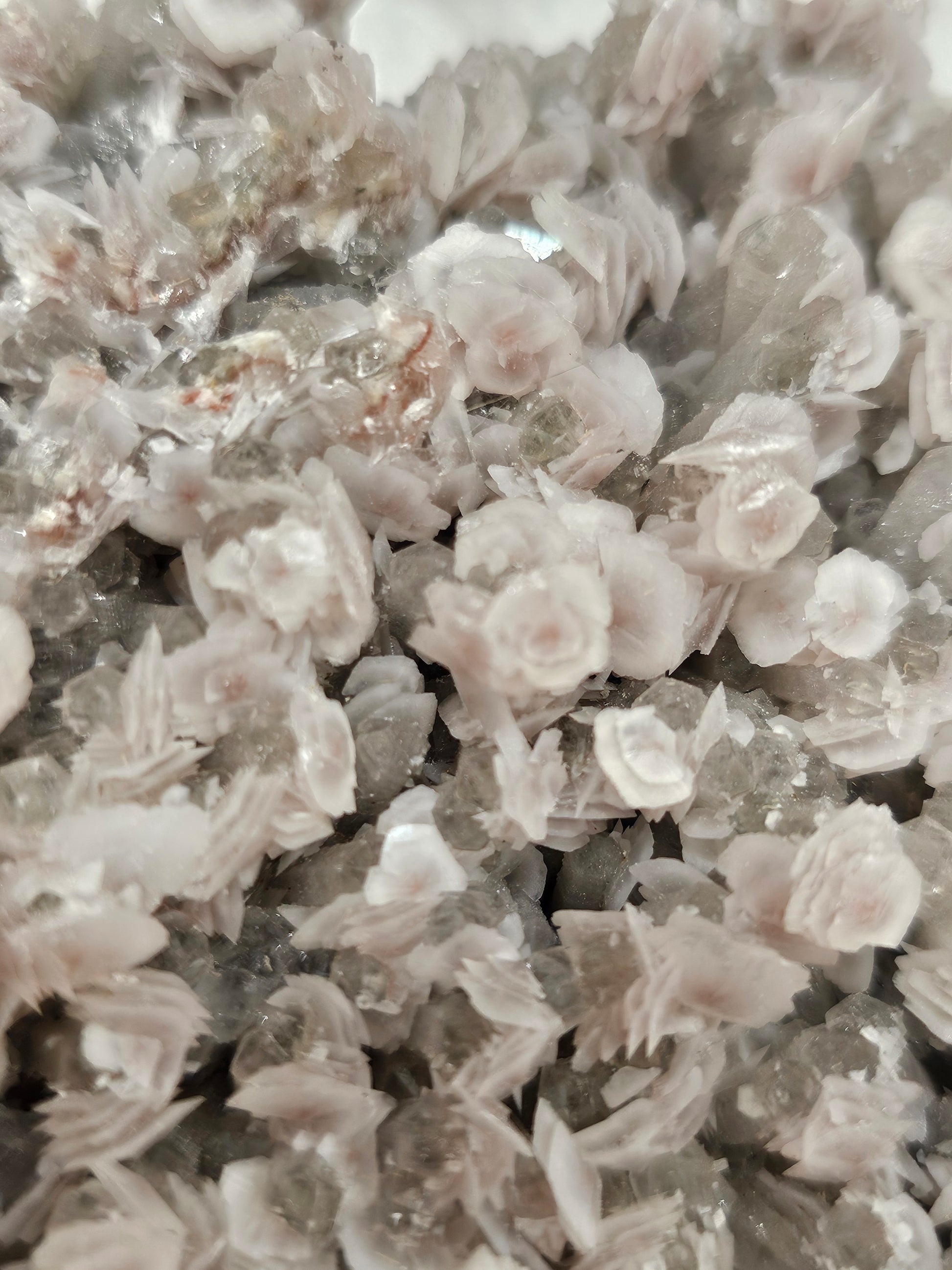 Flower Jungle Calcite Raw Crystal Cluster