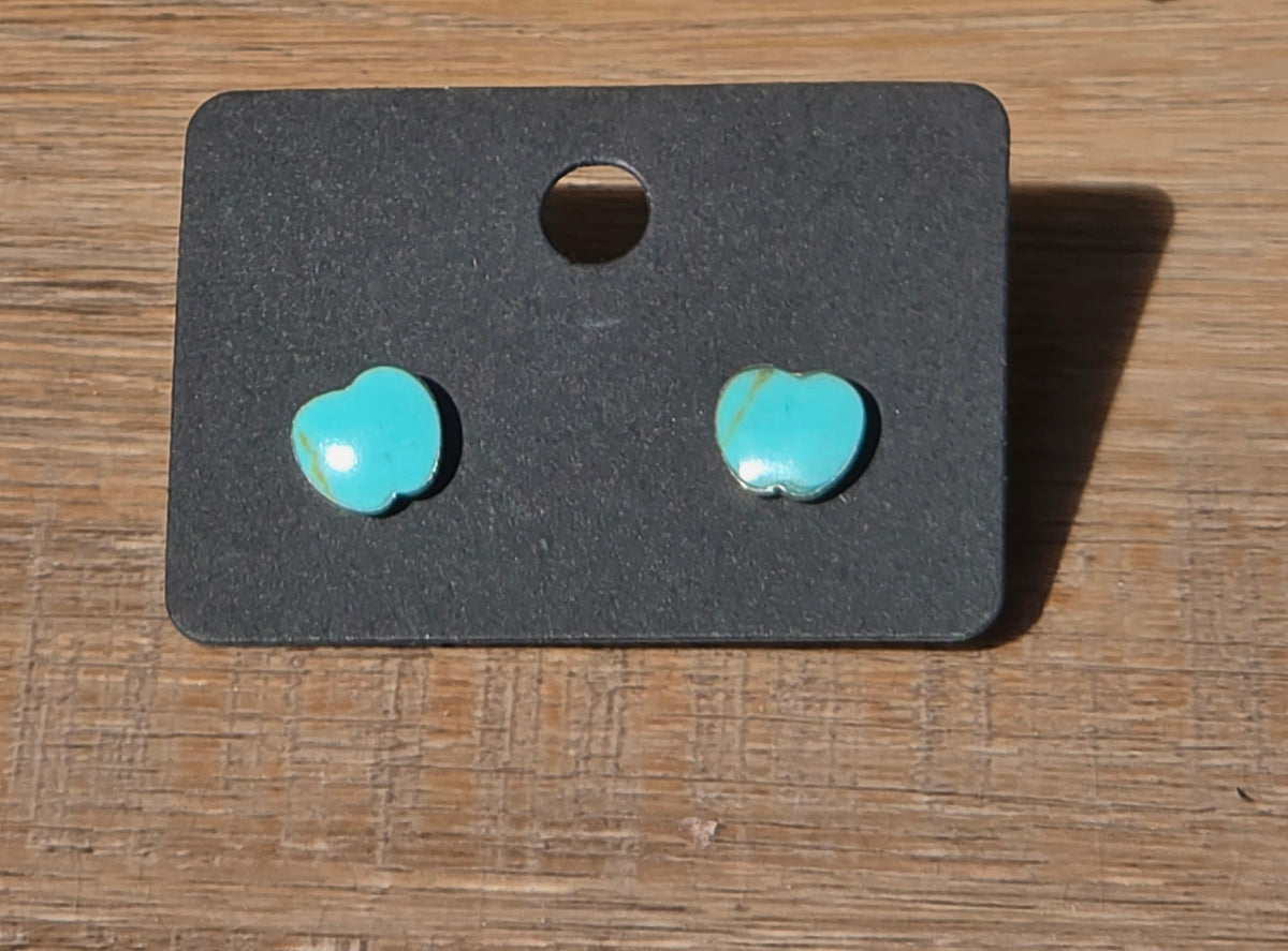 Sterling Silver Turquoise Earrings – Post Back