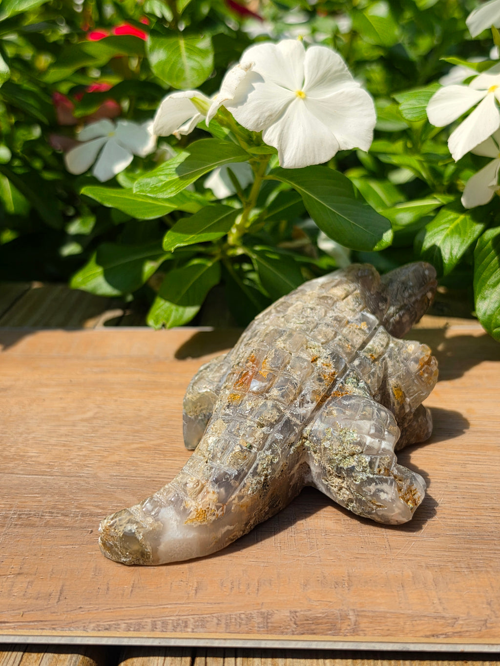 Flower Agate Crystal Crocodile