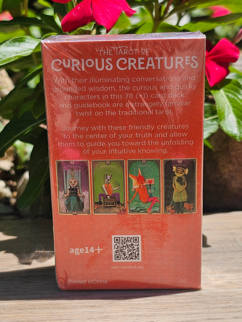 The Tarot Of Curious Creatures