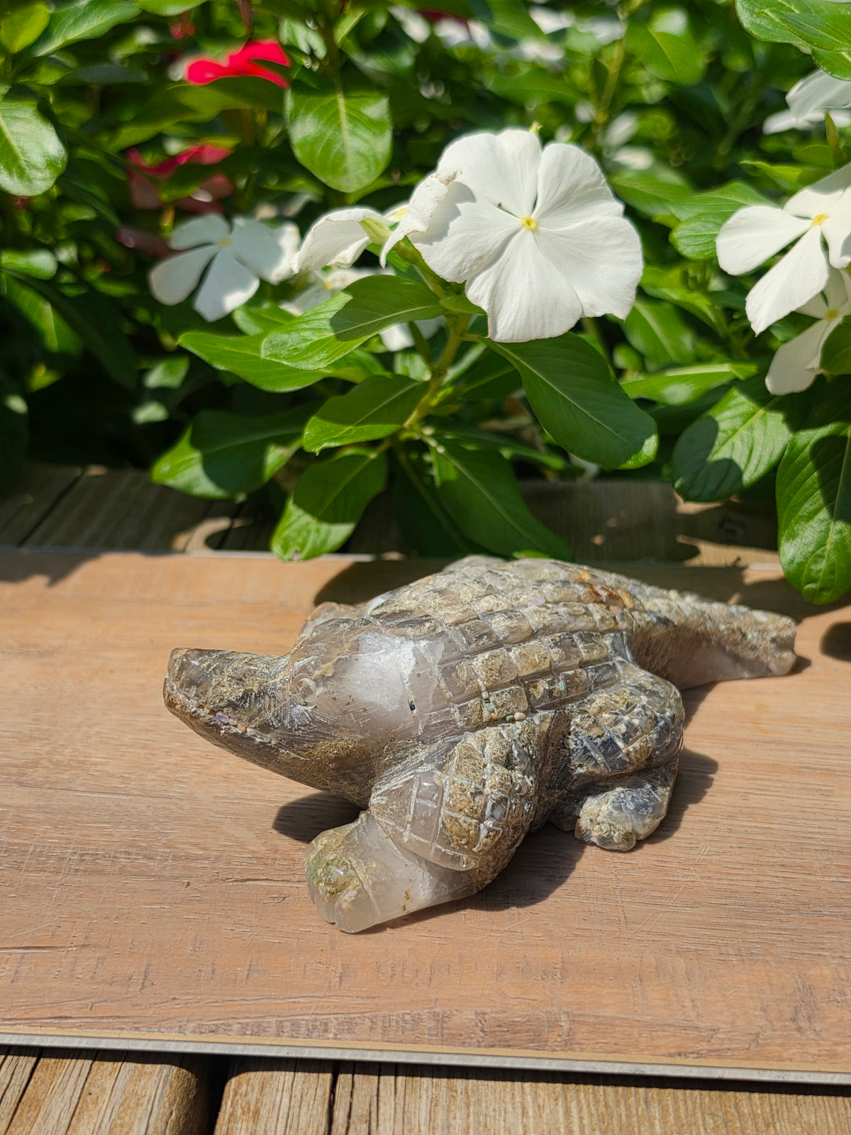 Flower Agate Crystal Crocodile