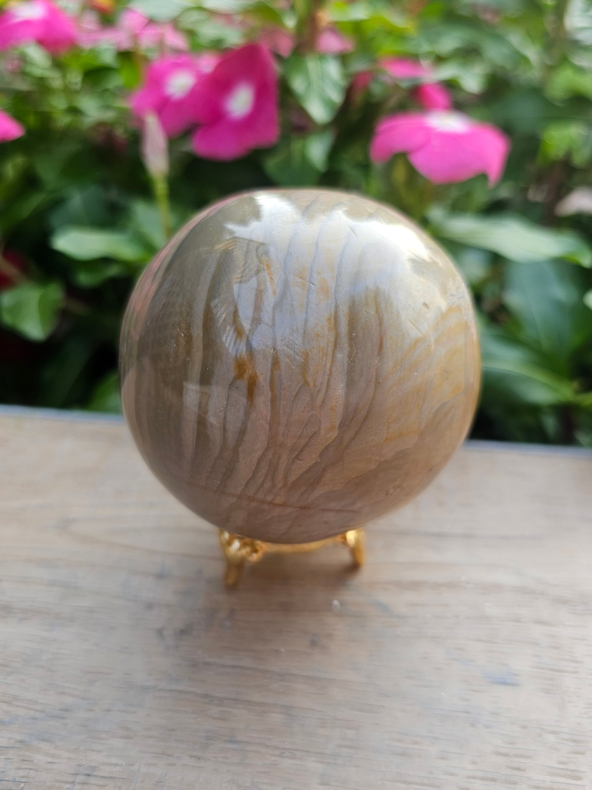 Petrified Wood Crystal Sphere