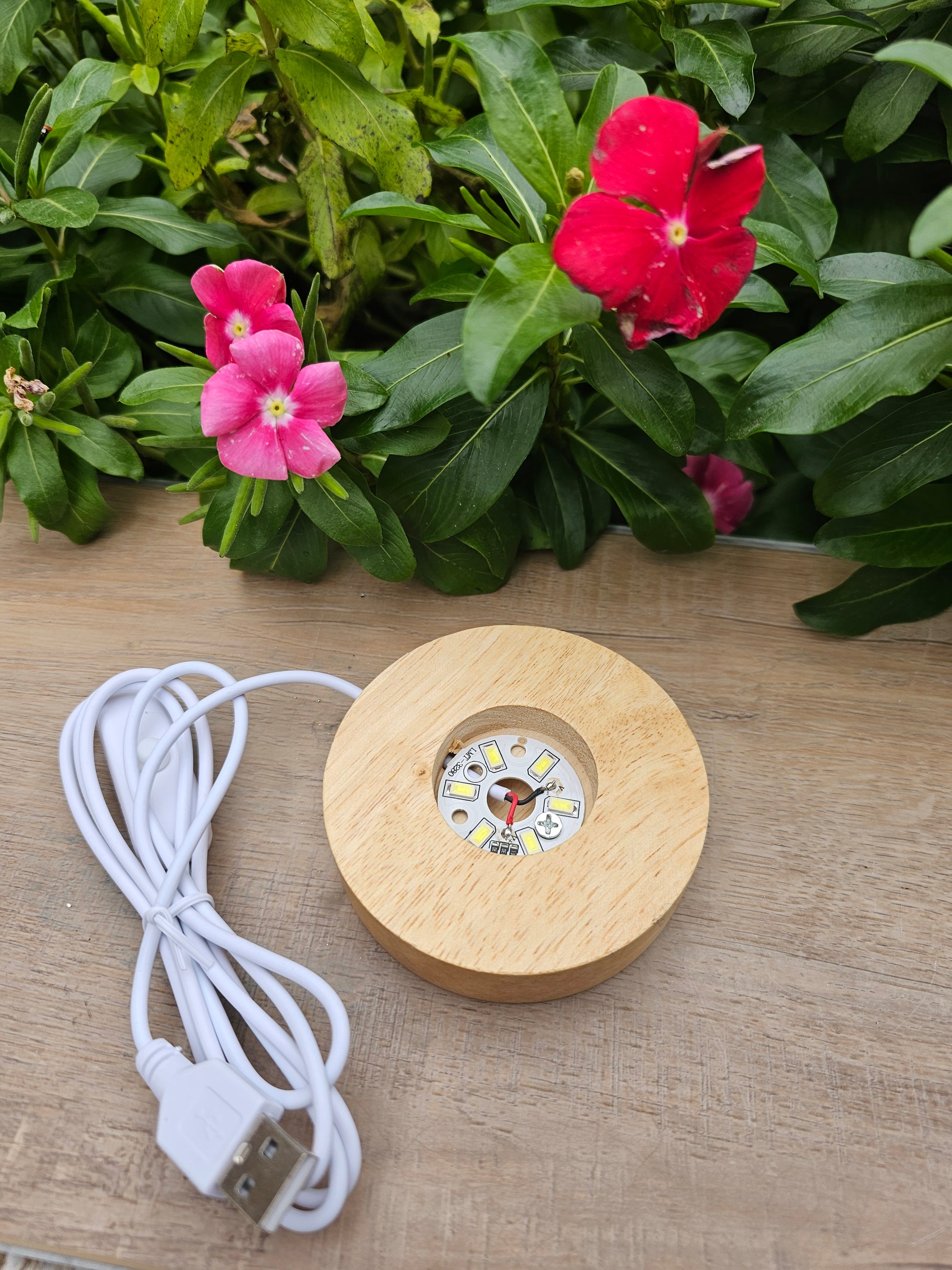 Selenite Crystal Mushroom with Light - Natural Healing Stone Lamp