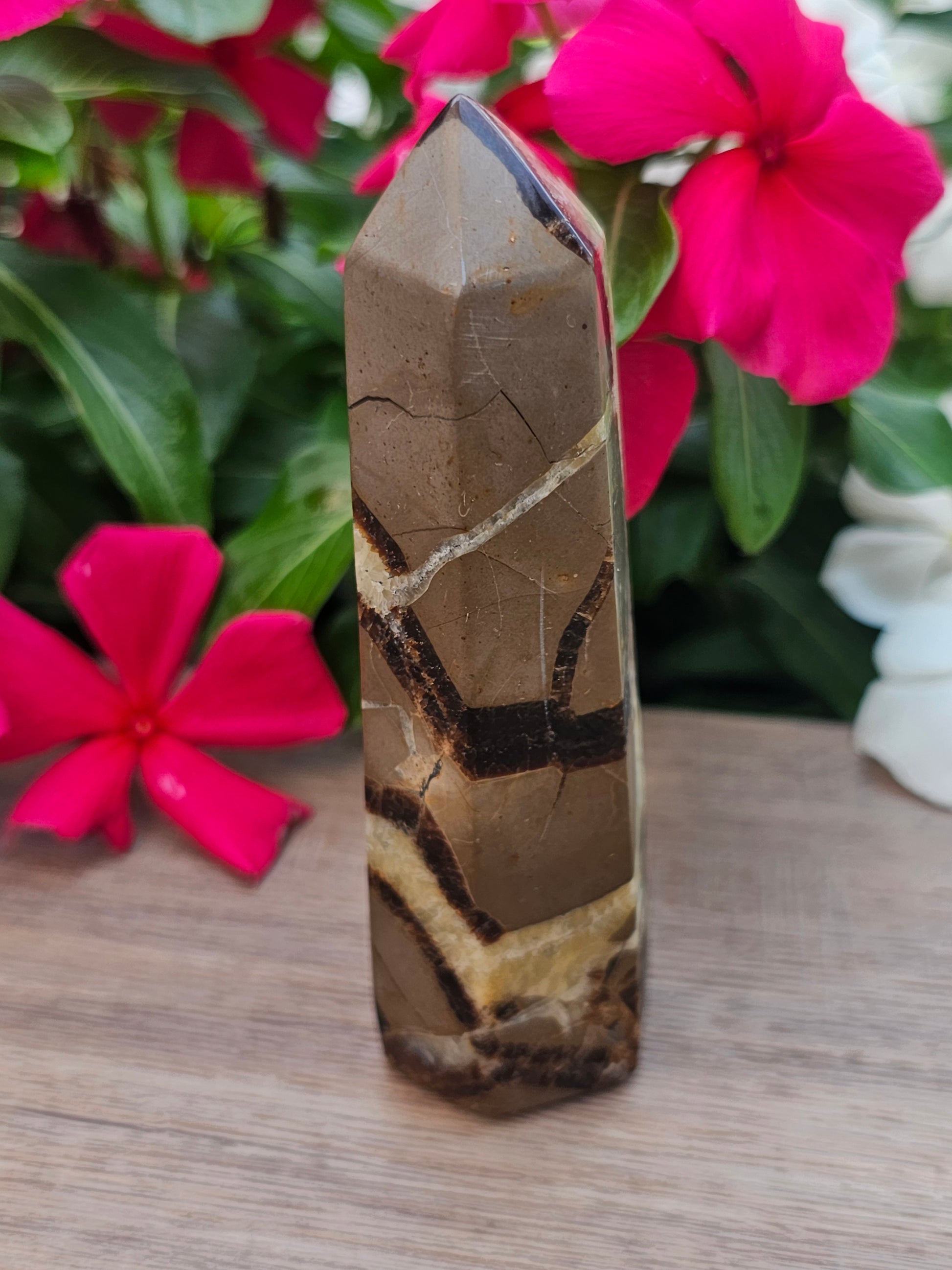Septarian Crystal Tower Healing Stone Point