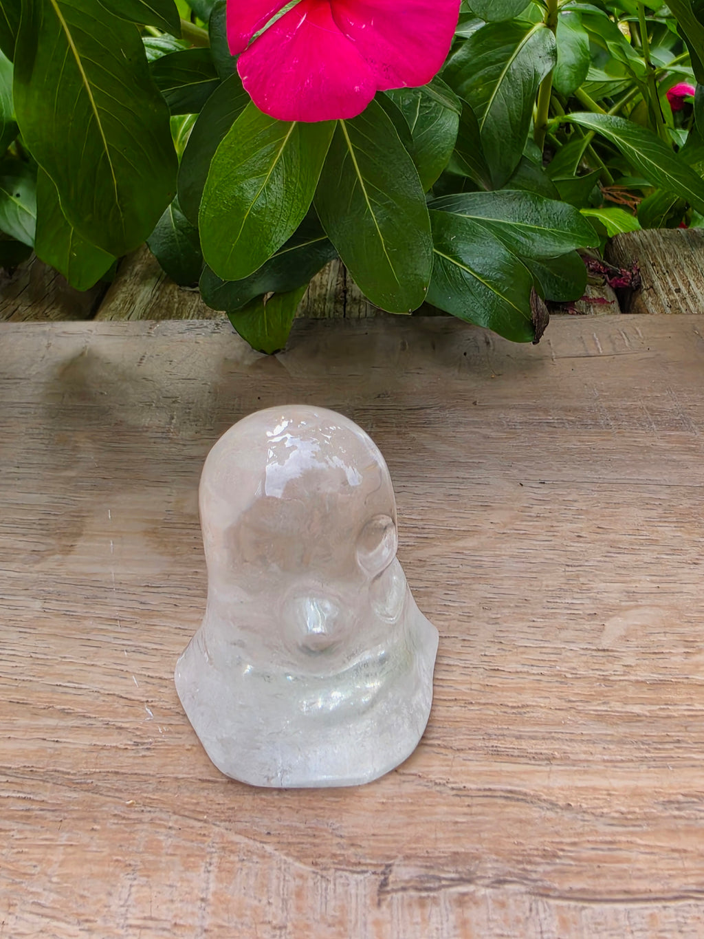 Clear Quartz Crystal Ghost