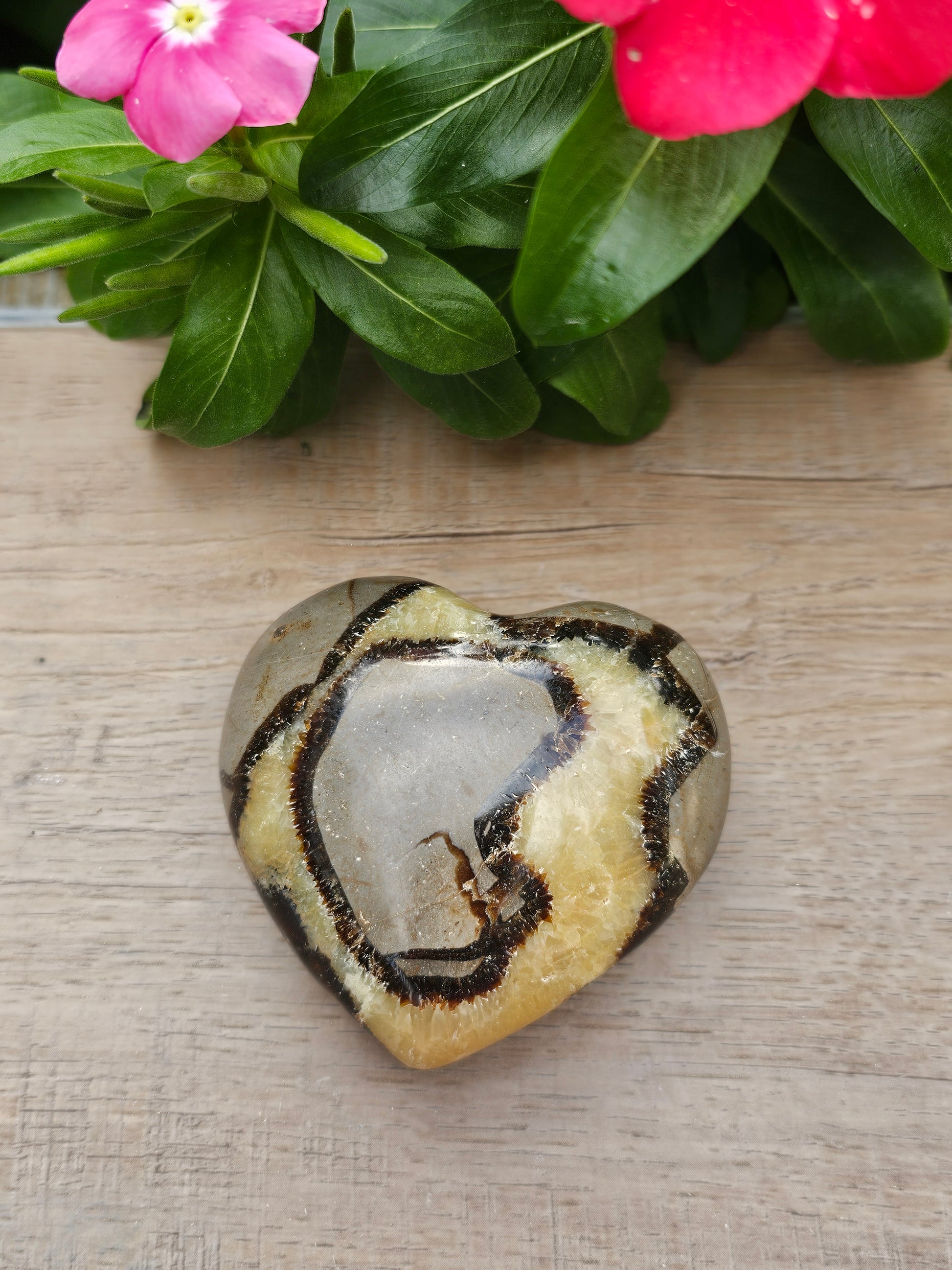 Septarian Crystal Heart - Natural Dragon Stone 3 Inch