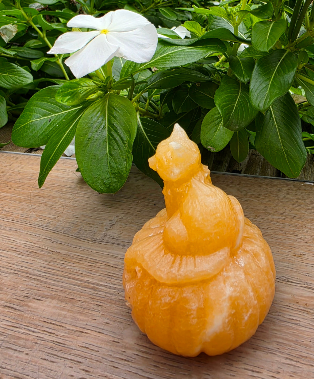Orange Calcite Crystal Pumpkin with Cat