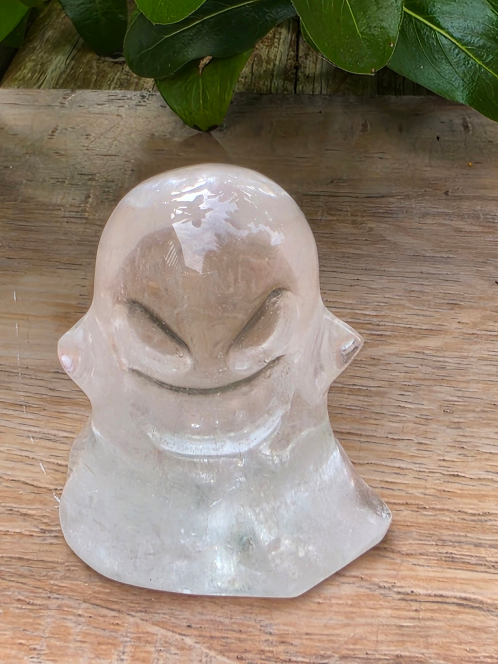 Clear Quartz Crystal Ghost