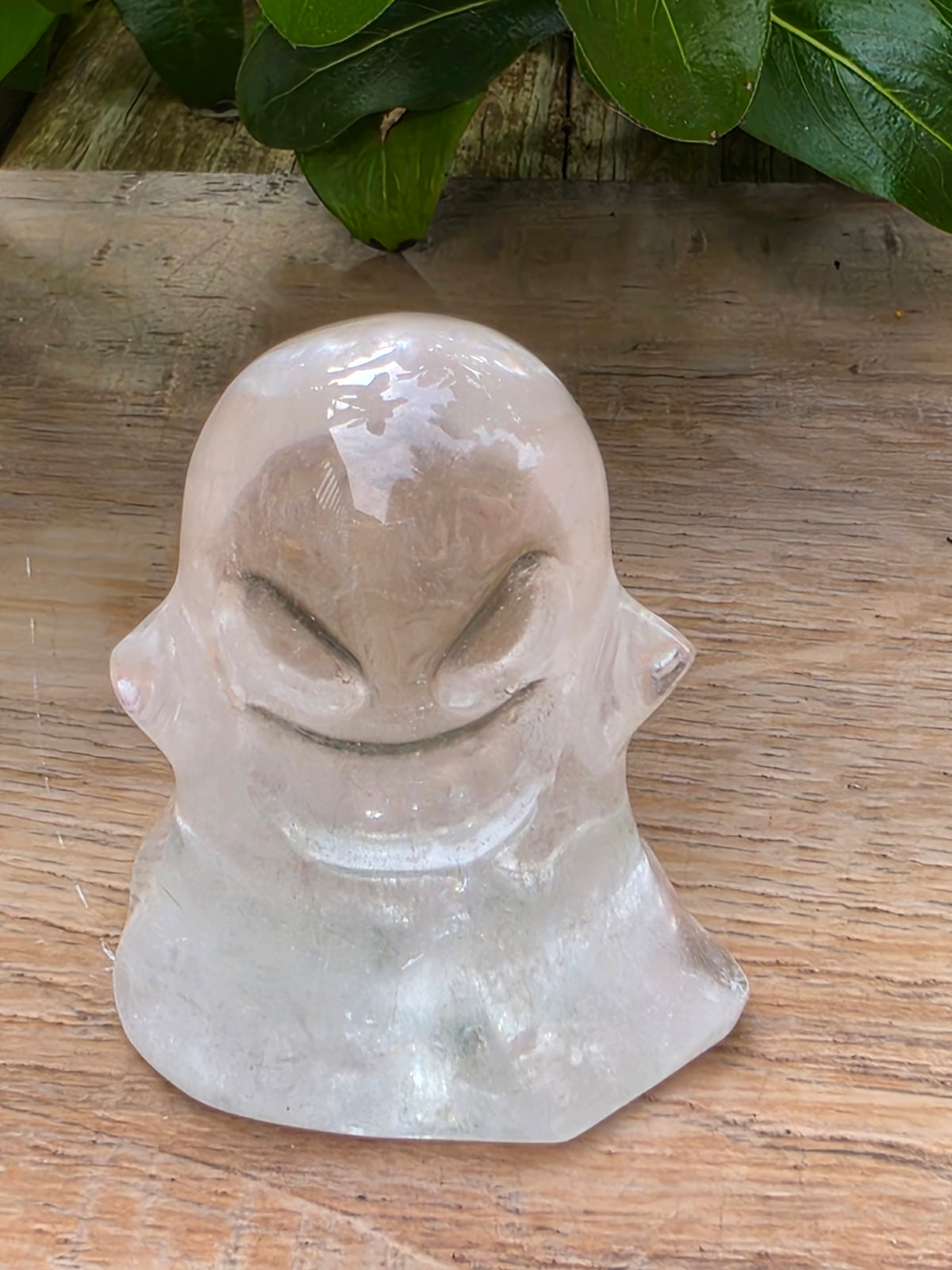 Clear Quartz Crystal Ghost